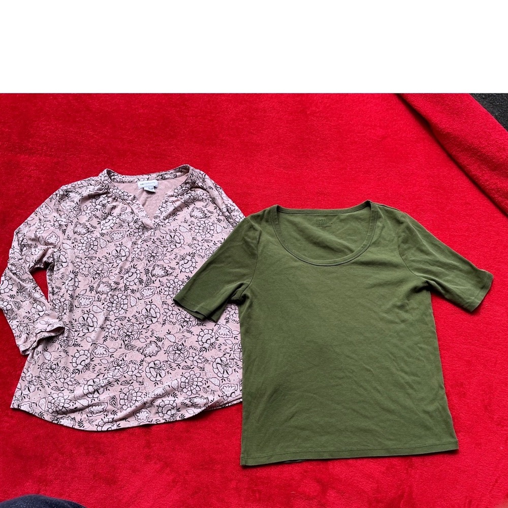 Liz Claiborne & Time and Tru Tops Women Large Pink Green Excellent Bundle 2pc